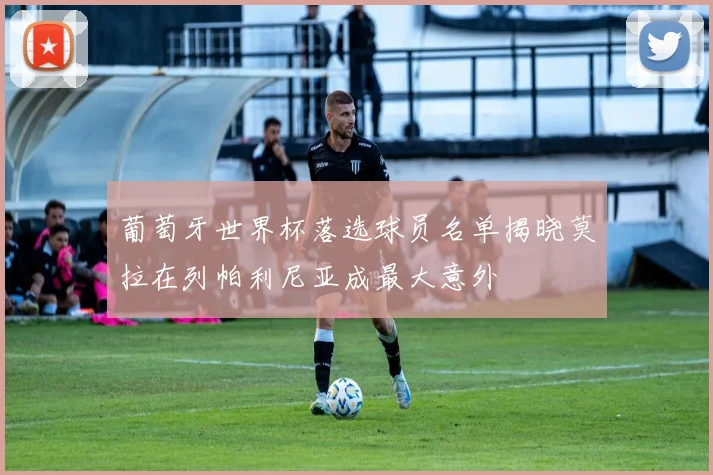 葡萄牙世界杯落选球员名单揭晓莫拉在列帕利尼亚成最大意外
