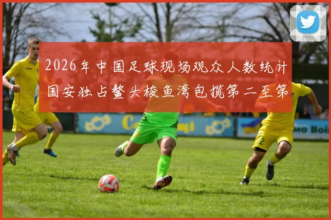 2026年中国足球现场观众人数统计国安独占鳌头梭鱼湾包揽第二至第七位